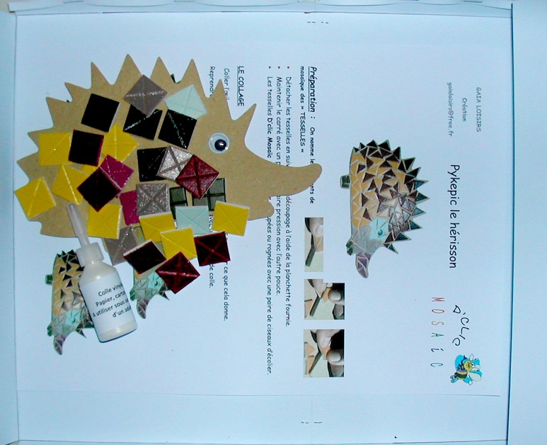 Coffret création Kit mosaïque enfant "Pyképic le hérisson"